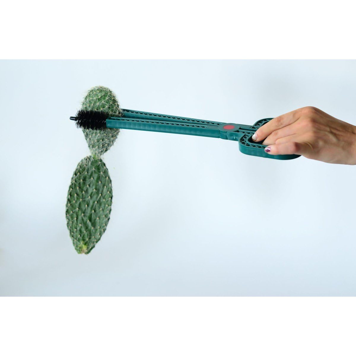 Astuceo Pinza para Cactus
