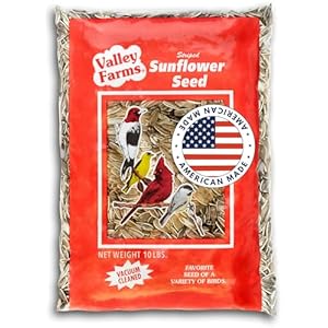 Striped Sunflower Wild Bird Seed for Outside Feeders, Striped Sunflower Seeds for Birds, Sunflower Wild Bird Food (10 LBS)