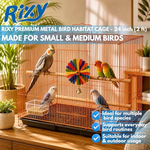 Image of Rixy Metal Bird Cage - 24 inch (2 feet) | Habitat Cage with Free Hanging Toy (1) + Perches (2) + Food & Water Feeder Cups (2) | for Budgies, Lovebirds, Finches, Cockatiels & Parrots (Colour May Vary)