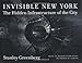 Invisible New York: The Hidden Infrastructure of the City (Creating the North American Landscape)