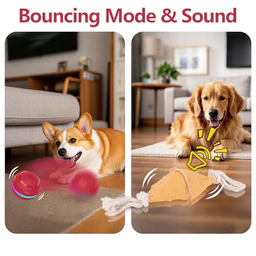 Diealles Shine Interaktives Hundespielzeug, Hundespielzeug Ball Mit 2 Modi, Spielzeug Für Hunde Gegen Langeweile, Hundeball Elektrisch USB Aufladbar, Selbstrollender Ball Für Kleine Hunde