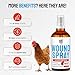 SILVER GRADE Wound Spray for Chicken from Birds & Chicken Antibiotics Alternative to Help with Pecking Sores, Bumblefoot, Cuts – Poultry Spray with Silver – GMOs Free – 4-Oz Bottle
