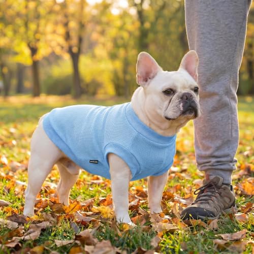 Image of 3 Pack Dog Shirt for Small Supplies Functional Waffle Dog Clothes Warm Soft Sweatshirt Outfit for Dogs Cats Pet Apparel