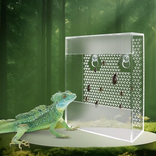 Transparent Acrylic Reptile Feeder Box, Wall-Mounted Insect Feede...