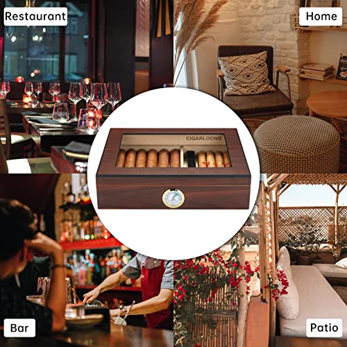 Hancigar Handmade Cigar Humidor For 20-30 Cigars, Tempered Glass Top Spanish Cedar Cigar Box Case With Hygrometer Humidifier And Divider, Red #TOP3
