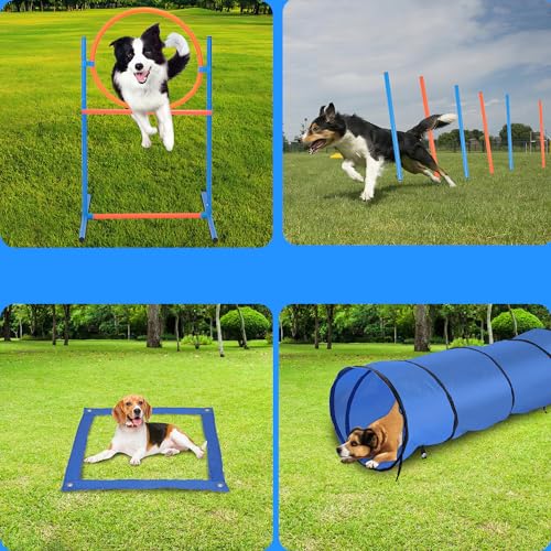 Herrselsam Agility Set Hunde groß, Agility-Ausrüstungs-Set für Hunde, Hundetraining zubehör Agility Hürde, Sprungring, Hundetunnel, 8 Slalomstangen, Ball, Pfeife, Tragetasche, Perfekt für den Park