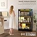 Airynee Display Cabinet with Glass Doors 3-Tier, 7 Vibrant Colors 3 Dynamic Lighting Modes HD Glass Storage Cabinet with Human Body Sensor(Black)