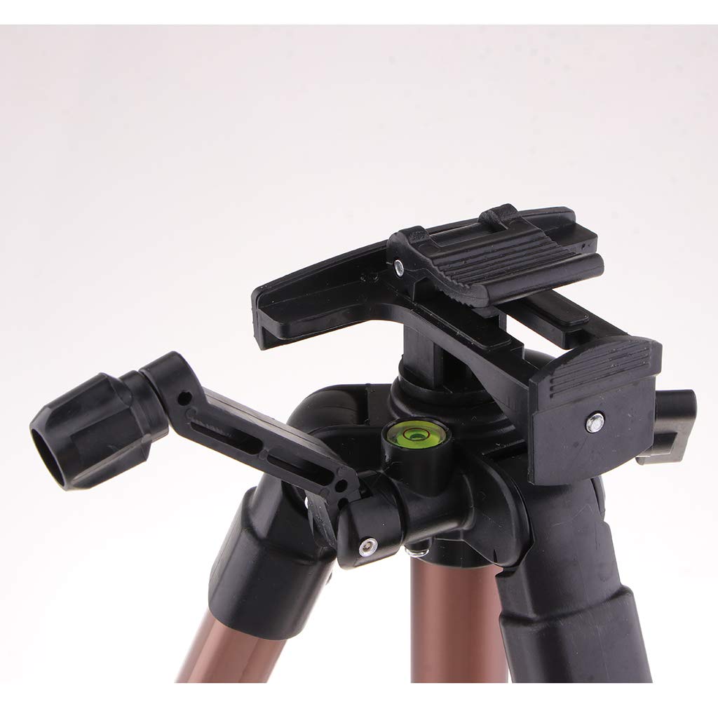 Lionize Folding Artist Telescopic Painting Easel Tripod Display Board Stand Coffee (59021211LZ