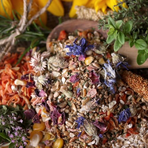 Wachtelfutter 10kg – WachtelGold Spezial Original Alleinfutter – Premium Futter für Wachteln mit Kräutern, Blüten & Superfoods – Für Legeleistung, Verdauung & gesunde Wachteln