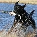 Avery Sporting Dog EZ-Bird Training Dummy – Realistic Floating Retriever Bumper for Water & Field Training (Mallard)