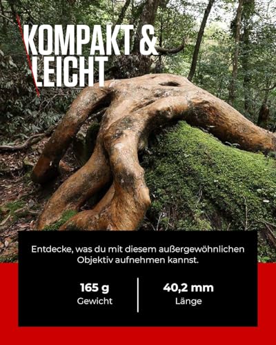 Canon-RF-Objektiv-14-35mm-F4L-IS-USM--Ultraweitwinkel-Zoom-mit-5-Stufen-Bildstabilisator-fuer-Landschaft-Architektur-Kompatibel-mit-EOS-R-System - Sparfuchs24.io - Preisvergleich & Top Angebote Online