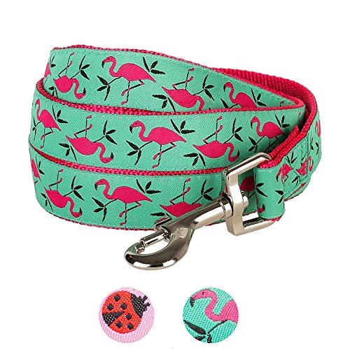 Blueberry Pet Essentials 2 Patterns Durable Pink Flamingo on Light Emerald Dog Leash 5 ft x 5/8", Small, Basic Nylon Leashes for Dogs by Blueberry Pet - Image 4