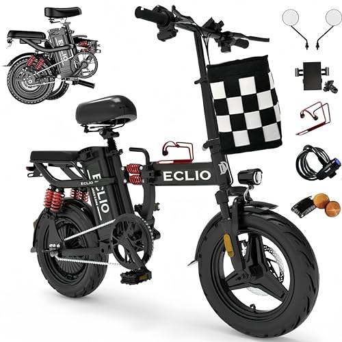 Folding Electric Bike 800W