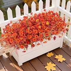 Z2-orange, Autumn Red, Sunset Blush, Fernwood Autumn