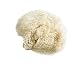 Aerborn Hairnets Heavy Weight Hair Net, 2 per Pack
