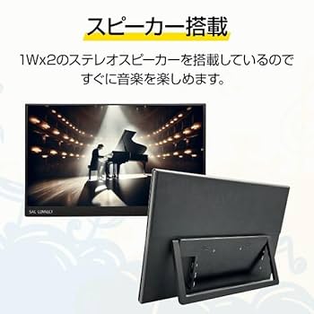 Amazon.co.jp: SAC CONNECT エスエーシー ポータブル LCD