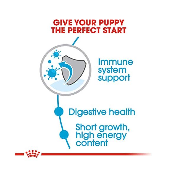 Royal Canin Medium Puppy Dry Dog Food, 6 Lb. Royal Canin Medium Puppy Dry Dog Food, 6 Lb.