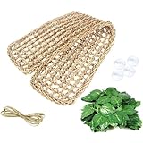 1Pcs Bearded Dragon Hammock,Reptile Lizard Lounger Hammock Natural Seagrass Fibers Small Animals Hammock Sleep Bed for Reptiles and 2 Pcs Plastic Terrarium Plant Leaves
