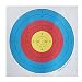 Esponja de espuma EVA 3D Sportsmann Arrow Target de 50 x 50...