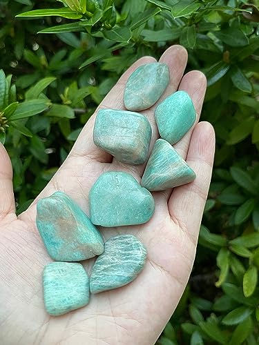 Image of 1 /2 lb Polished Amazonite Tumbled Stones - Natural Gemstone, Healing Crystals (Amazonite)