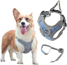 Coleira Peitoral para Cachorros Ajustável com Guia de Passeio (Azul, P)