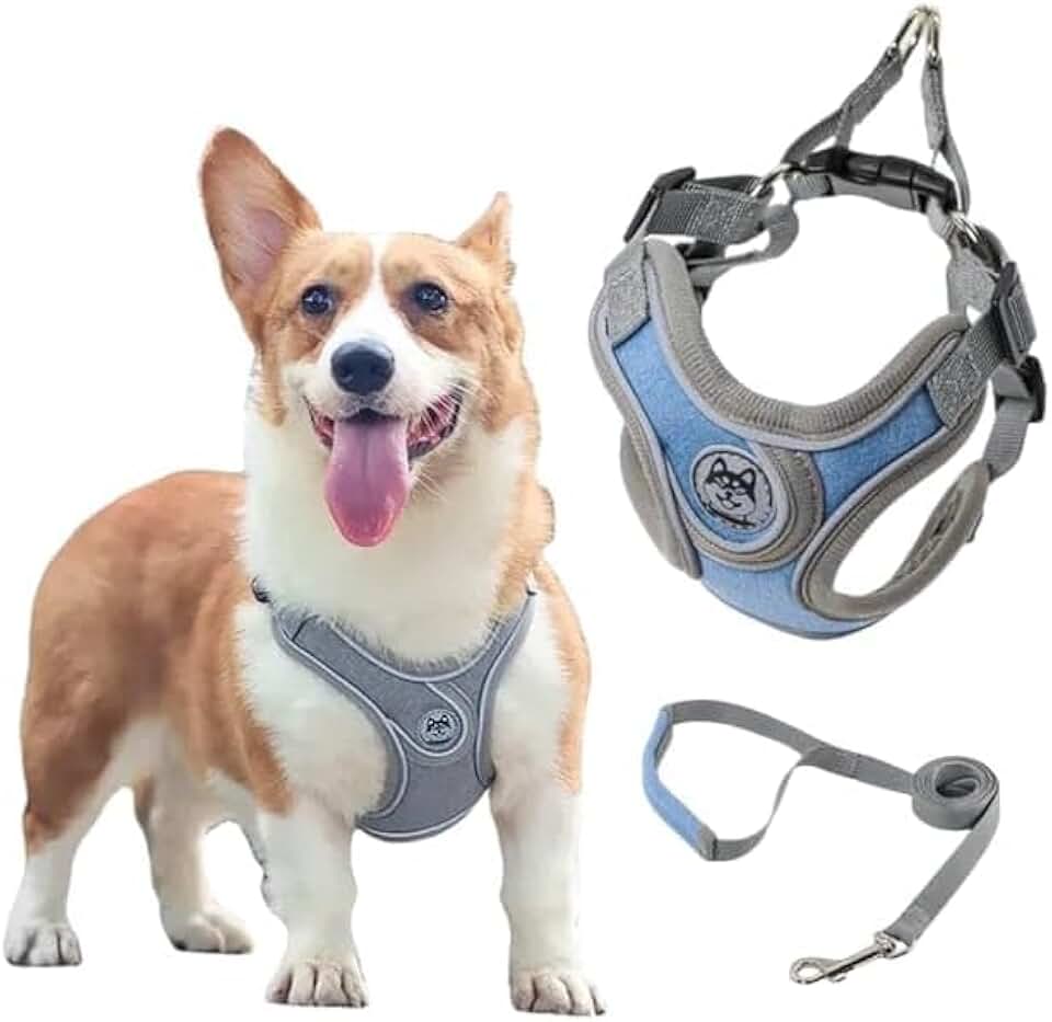 Coleira Peitoral para Cachorros Ajustável com Guia de Passeio (Mescla, P)