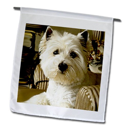 3dRose Westie-Garten-Flagge – 30,5 X 45,7 Cm, Wetterfest & Einseitig Bedruckt
