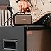 Positive Grid Spark CAB Powered Guitar Amp Speaker Cabinet for Spark Series Amps, Multiple Instruments, Modelers, and More