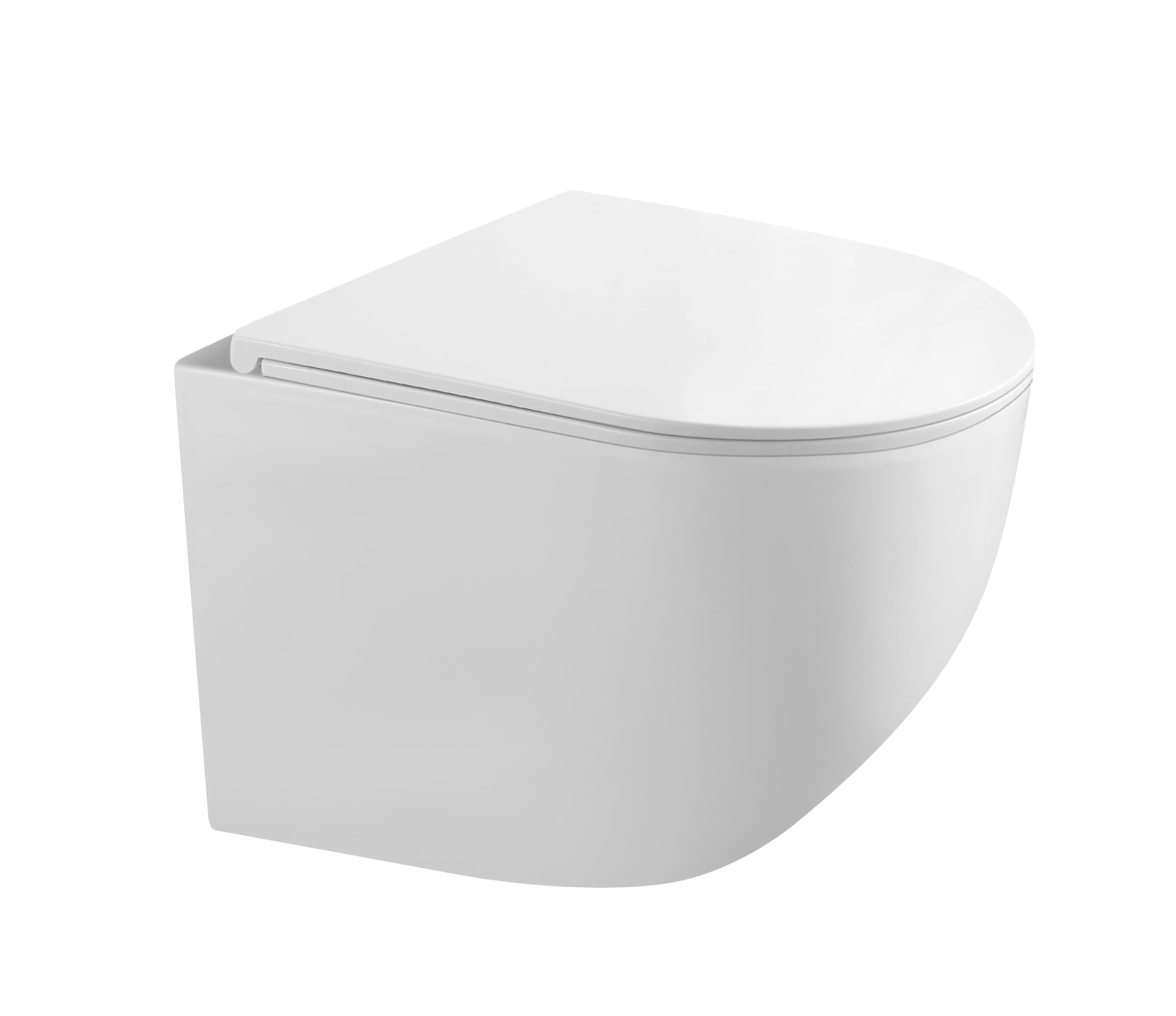 Geberit Duofix SANI11CA1130 - Set de inodoro Gaia con asiento de cierre suave y placa de accionamiento Delta01, cromo brillante