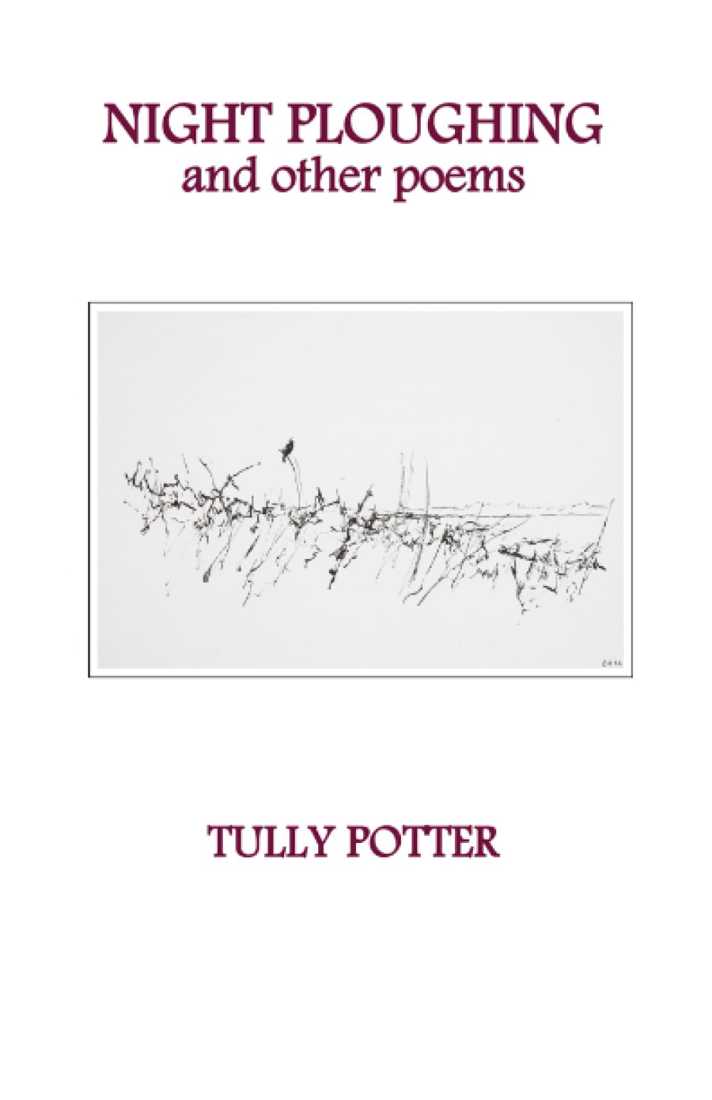 NIGHT PLOUGHING AND OTHER POEMS: Seventy-Two New and Selected Poems