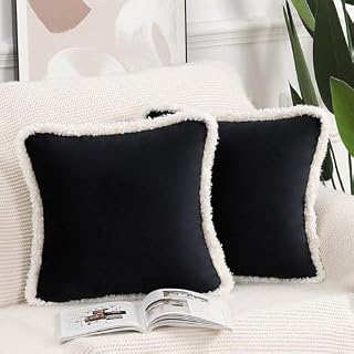 Madizz Set of 2 Velvet Curly Fringed Throw Pillow Covers with Tassels 18x18 Inch Brown Soft Decorative Cushion Cover for Sofa Bedroom Pillow Shell