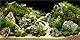 MIRRORANG 120x50cm Aquarium Hintergrund Felsen 3D Felsen Steine Gras Terrarium Hintergrund Dekoration Reptilien Tank Hintergründe