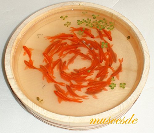 Amazon 樹脂金魚絵 手書き 現代アート アクリル樹脂 ハンドメイド 金魚絵 Resin Goldfish 琉金群 置物 オブジェ オンライン通販