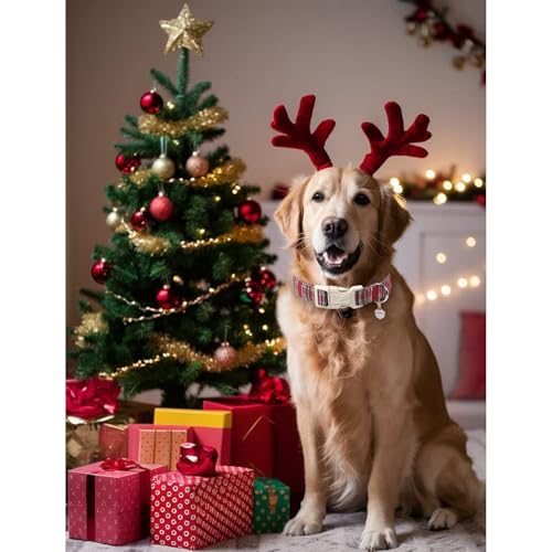 Image of Christmas Plaid Dog Collar, Red and Blue Check Adjustable Pet Collar with Quick Release, Christmas Stripes Collar for Small Medium Large Dogs M
