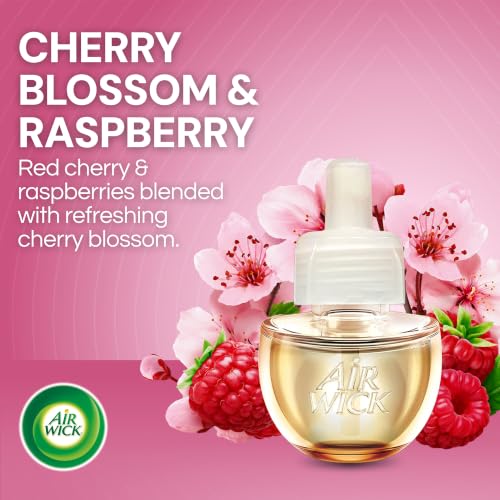 AIR WICK Scented Oil Vibrant Refill Cherry Blossom & Raspberry 5 ct. | Air Wick plug in refill, infused with essential oils;air fresheners for home, room,bathroom,bedroom & office.Use as directed - image 2