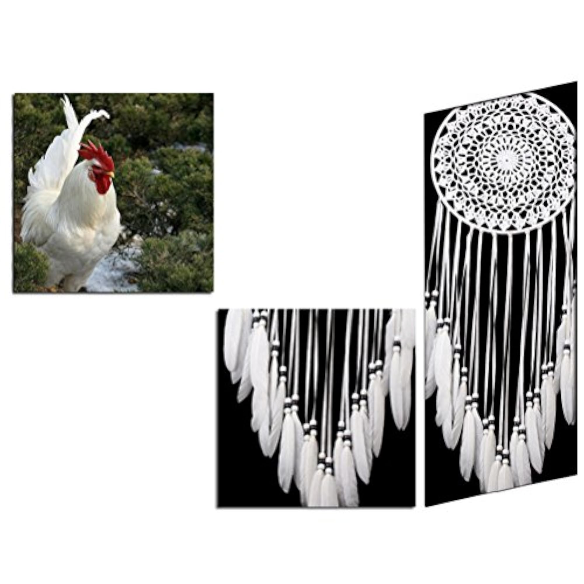 Handmade White Dream Catcher with Feathers for Home Decor