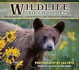Wildlife Through the Lens: Animal Stories From Montana and the Rocky Mountains