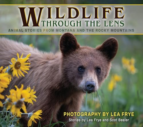 Wildlife Through the Lens: Animal Stories From Montana and the Rocky Mountains