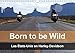 Price comparison product image Born to be Wild - Les Etats-Unis en Harley-Davidson 2017: Les Magnifiques Paysages du Sud-Ouest Americain vus de la Selle d'Une Harley (Calvendo Mobilite)