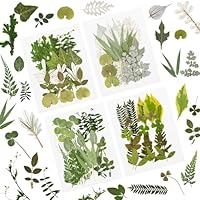 84 Stück getrocknete gepresste Blätter Pflanze Herbariumblätter Blütenblätter Gemischt Echte natürliche trockene Blätter für Harz Kunsthandwerk DIY Nagelaufkleber Verzierungen Dekorationen (D)