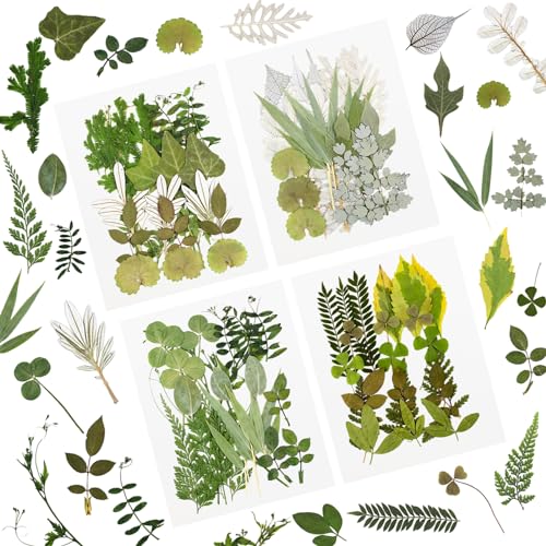 84 Stück getrocknete gepresste Blätter Pflanze Herbariumblätter Blütenblätter Gemischt Echte natürliche trockene Blätter für Harz Kunsthandwerk DIY Nagelaufkleber Verzierungen Dekorationen (D)