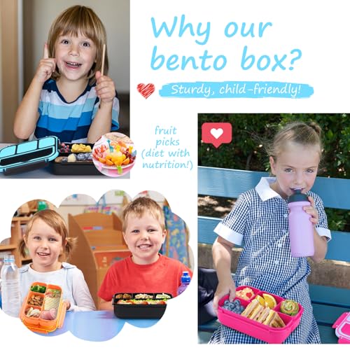 Image of QQKO Bento Box for Kids Adults, School Toddler Lunch Box for Boys Girls, Lunch Box Containers with 4 Compartments, Sauce Container, Utensils, Food Picks and Muffin Cups for School, Black Blue