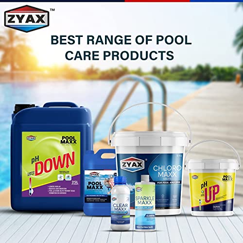 Image of ZYAX Chloro MAXX 90-1 KG Container - TCCA 90 Chlorine Granules for Pool, Spa, Fountain Water Treatment - Pool Surface Protection, Stops Algae and Bacteria Growth