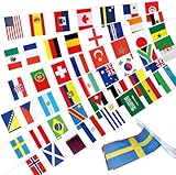 Ckexin 48 Countries Flags Banner Dercoations for 2026 World Cup, Small Mini Hanging...