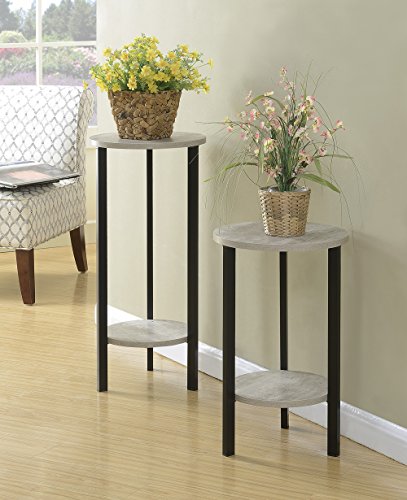 Convenience Concepts Graystone 31" Plant Stand, Faux Birch / Black #TOP5