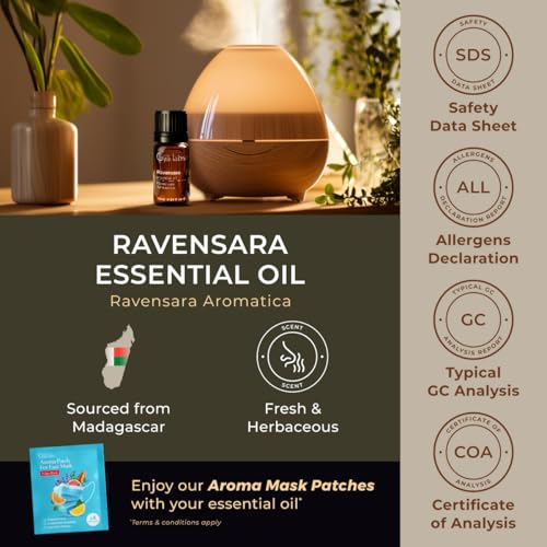 Image of 100% Pure Ravensara Essential Oil - 0.34 Fl Oz - Ravensara Oil for Hair, Skin, Diffuser, Aromatherapy & DIY Candle Making Scent