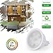 YMZM GU5.3 Base Bulb, Dimmable 120V 5W MR16 LED Bulbs, 50W Halogen Equivalent, CRl85 Brighter, Warm White(3000K) Reflector Floodlight, 500LM 120 Deg Landscape Track Lighting (4 Pack)