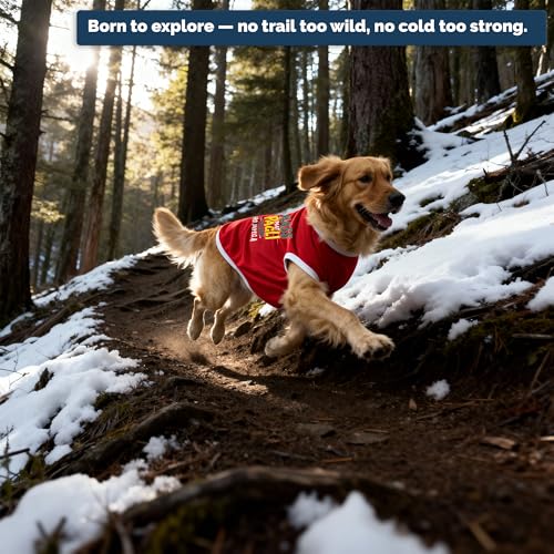 Image of JoyDaog Cozy Dog Winter Coat Red Color 26 Inch(3XL)- inchHASS Mat Pagli Pyaar Ho Jayega inch Printed Soft Trendy Apparel for XL Dogs | Indoor & Outdoor