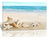 Purple Verbena Art Modern Seashell One Panel Seascape Giclee Pictures Photo Canvas Prints on Modern Stretched and Framed Canvas Wall Art Sea Beach Pictures Artwork for Home Decor wall art, 10x14 Inch