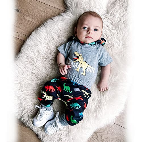 Hintina Infant Baby Boys Spring Summer Dinosaur Dino Clothes Mama's Boy Hoodie Bodysuit Pants Outfits Set 12-18 Months #TOP1
